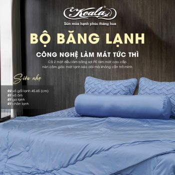 Bộ Chăn Ga Gối Băng Lạnh 03