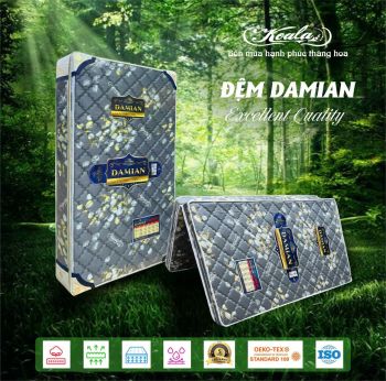 Đệm chống thoái hóa 2M DAMIAN 180x200cm